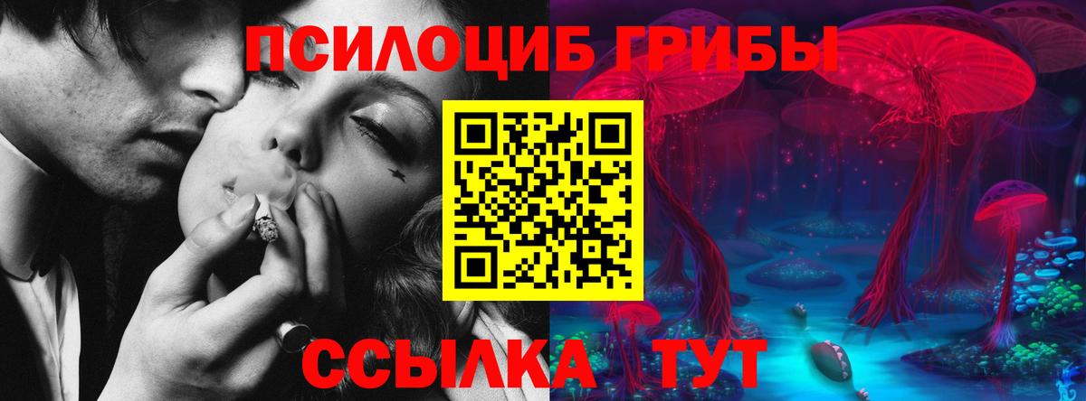 Янаул  Галлюциногенные грибы MAGIC MUSHROOMS  Вход с VPN 